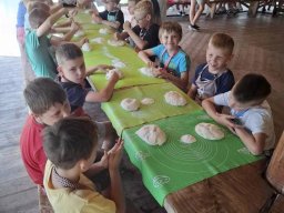 4487180319299773055968854811731290704947776n